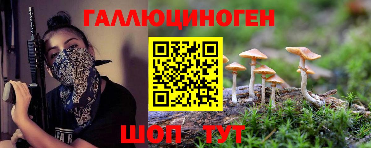 Псилоцибиновые грибы Psilocybe Муравленко