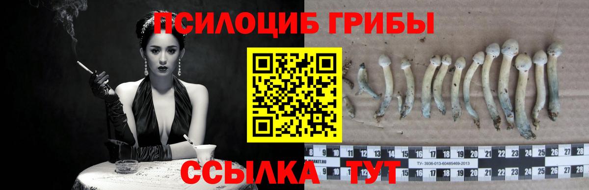 Псилоцибиновые грибы Cubensis  Галлюциногенные грибы Magic Shrooms  Вход с VPN  Муравленко 